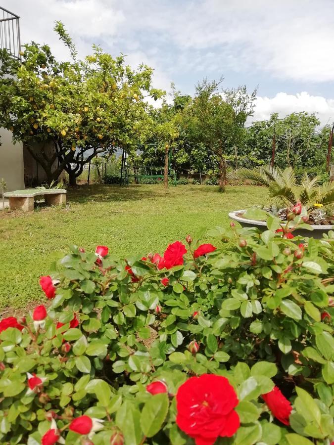 B&B Villa Le Mattine Agropoli Exterior photo